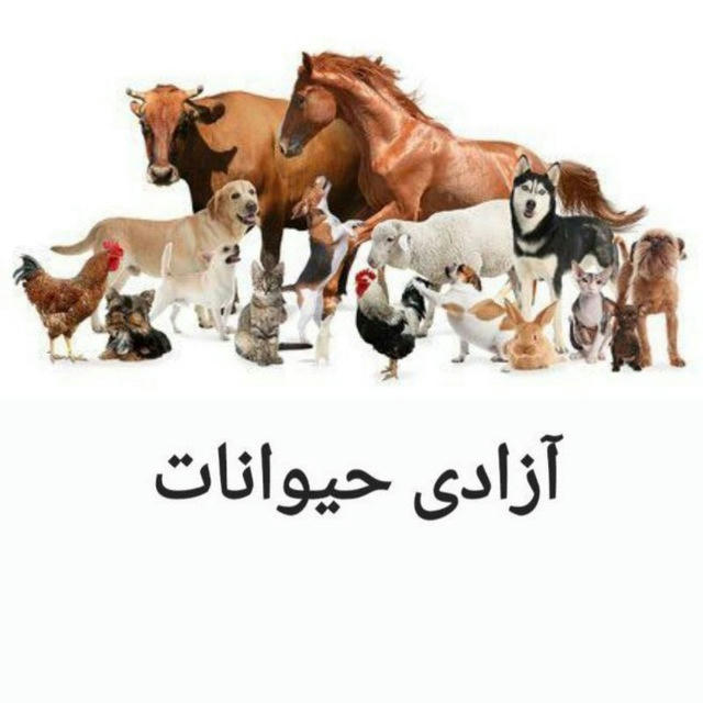 آزادی حیوانات