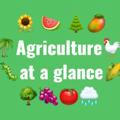 🌲Agriculture at a glance🌴