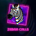 ZEBRA CALLS 🦓