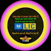 Knowledge is Power Lic's Related