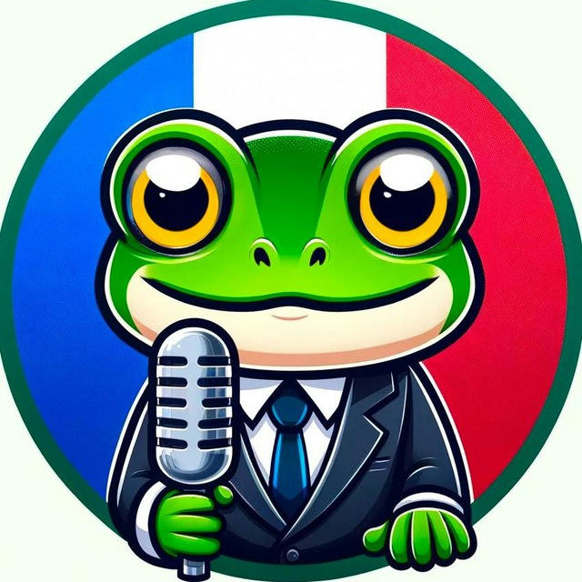 France Information 🇫🇷 Froggy TV 🐸