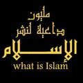 مليون داعية لنشر الإسلام