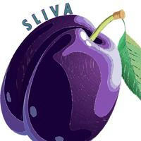 Sliva