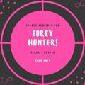 forex hunter