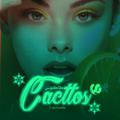 Cactus|کاکتوس