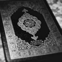 القرآن الكريم🤍 قرآن,خواطر,اذكار