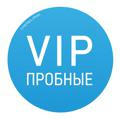 VIP канал (4-11 класс) 2021