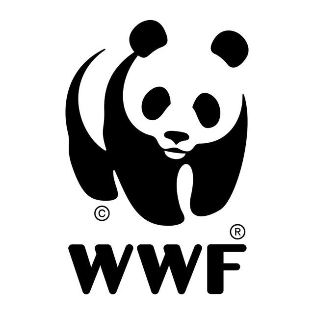 WWF Singapore Insider