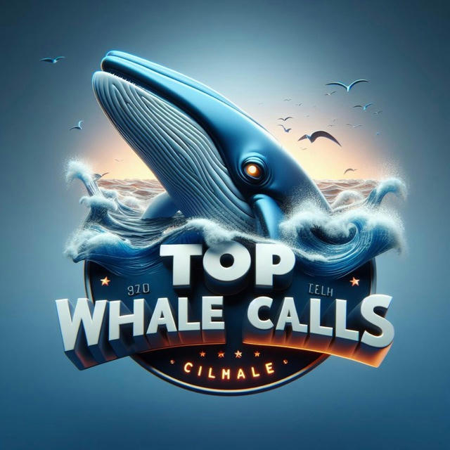 Top Whale Calls