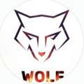 WOLF ||وولـف مـتجـر