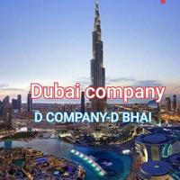 D COMPANY D BHAI | DUBAI COMPANY | DUBAI CRICKET TIP