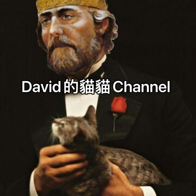 David的貓貓Channel
