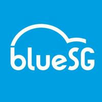 BlueSG