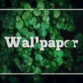 ✧ Wallpaper ✧