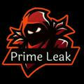PRIME LEAK™