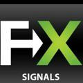 FX CURRENCY TM SIGNALS