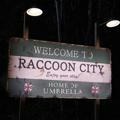 Welcome to racoon citty