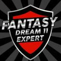 FANTASY DREAM 11 EXPERT