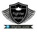 Fighter world