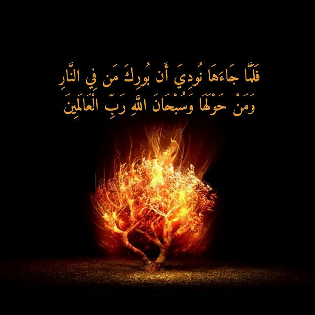 قَنْاَة شَاَكِر بنِ مُحَمَّدٍ العُصَيَّمي اَلْإِسْلَامِيَّةُ