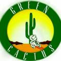 Green cactus