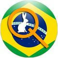 Qlobal-Change Brasil 🇧🇷