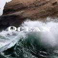 Ocean 🌊