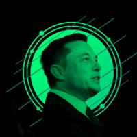 Elon's Crypto Diamond