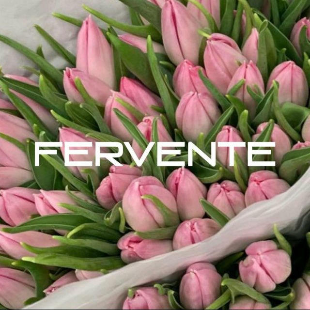 Fervente/Keikei Online Sales