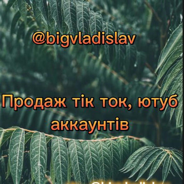 Bigvladislav - продаж (тік ток,ютуб каналів)