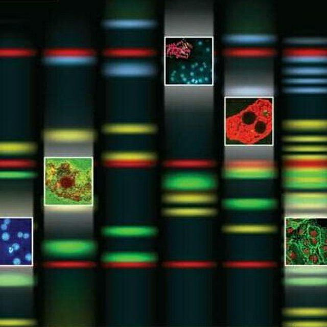 Modern Genetics & Biotechnology