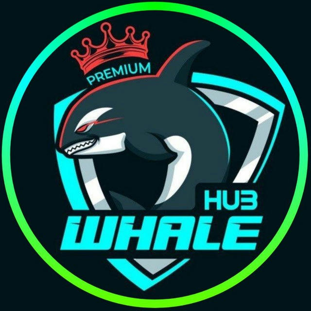 Whale Hub 🐋