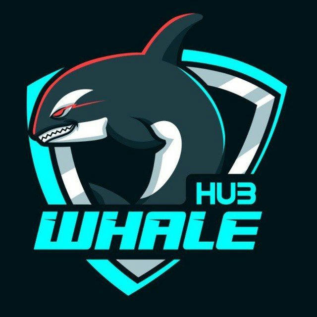 Whale Hub 🐋