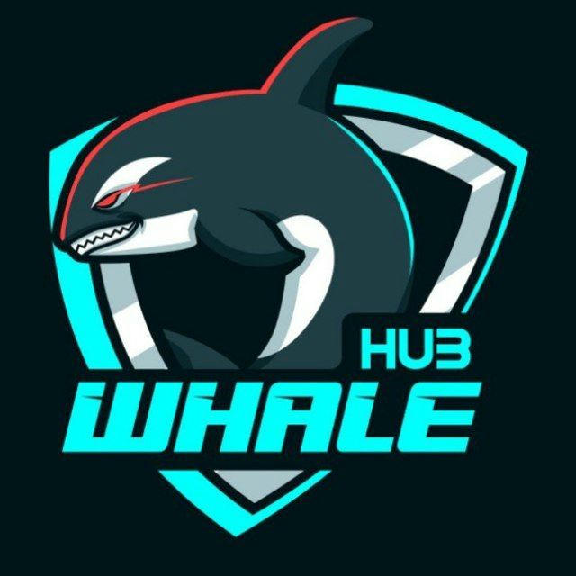 Whale Hub 🐋