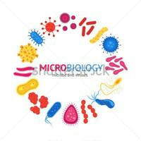 MICROBIOLOGY - AIM4PG