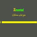 Momtad|مجمع تجارب معدنکاران