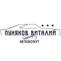 Виталий Пуняков - автоэксперт