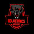 Wolveℜineѕ Hackers