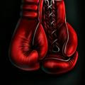 Real_boxing