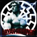 Aryan Revenge