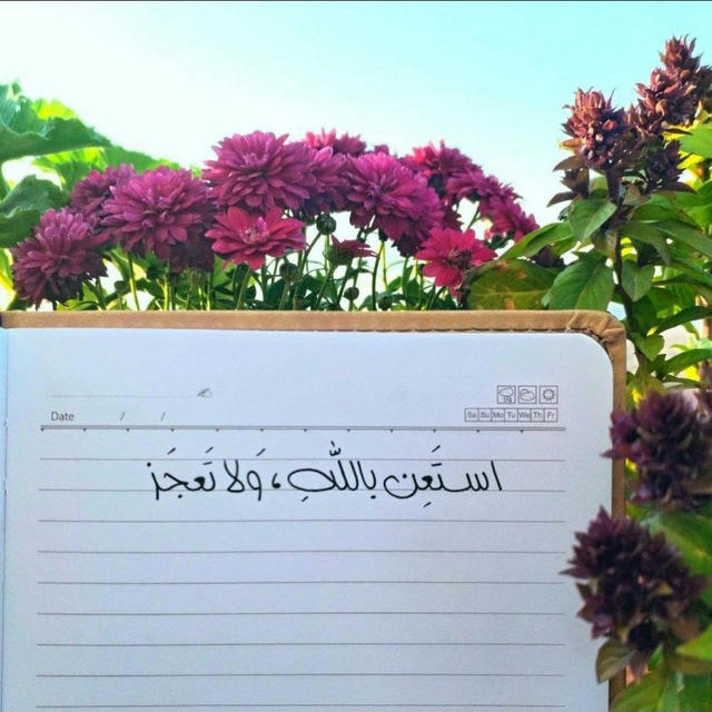 دربُ العُلا يحتاجُ جَد 🎓❤