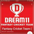 Fantasy Cricket Team (DREAM 11)