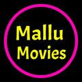 Mallu Movies | Surya Tv | Malayalam Dubbed Movies | Asianet | Malayalam Hollywood Movies
