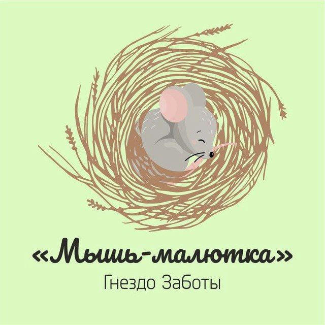 Гнездо поддержки "Мышь-малютка" Педиатр, аллерголог, психолог. Поддержка женщин. Юлия Бунина