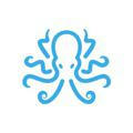 Octopus VC 💼