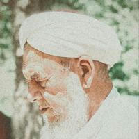 عبد الحميد التركماني 🔻