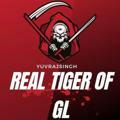 REAL TIGER OF GL