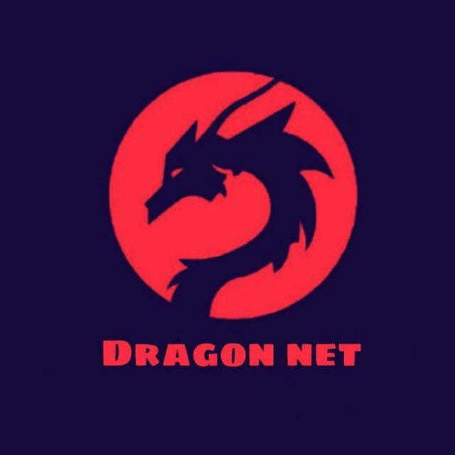 DRAGON NET