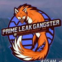 Prime Leak Gangster 🦁(GANGSTER ARMY)™️