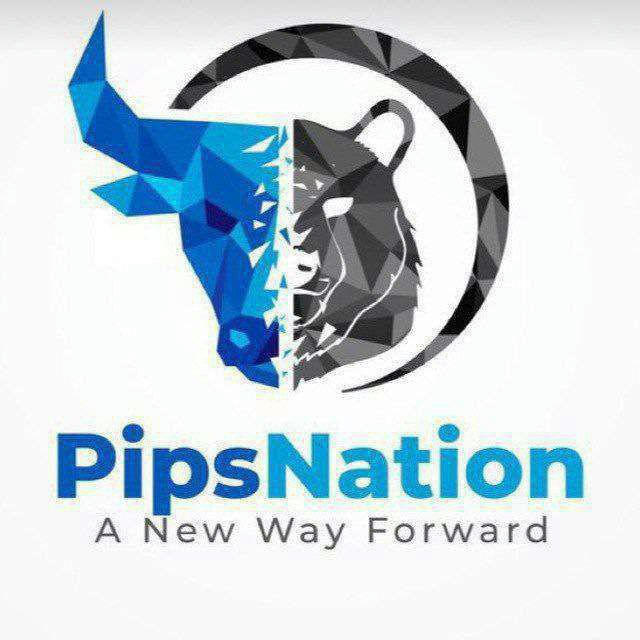 PIPS NATION FX SIGNALS